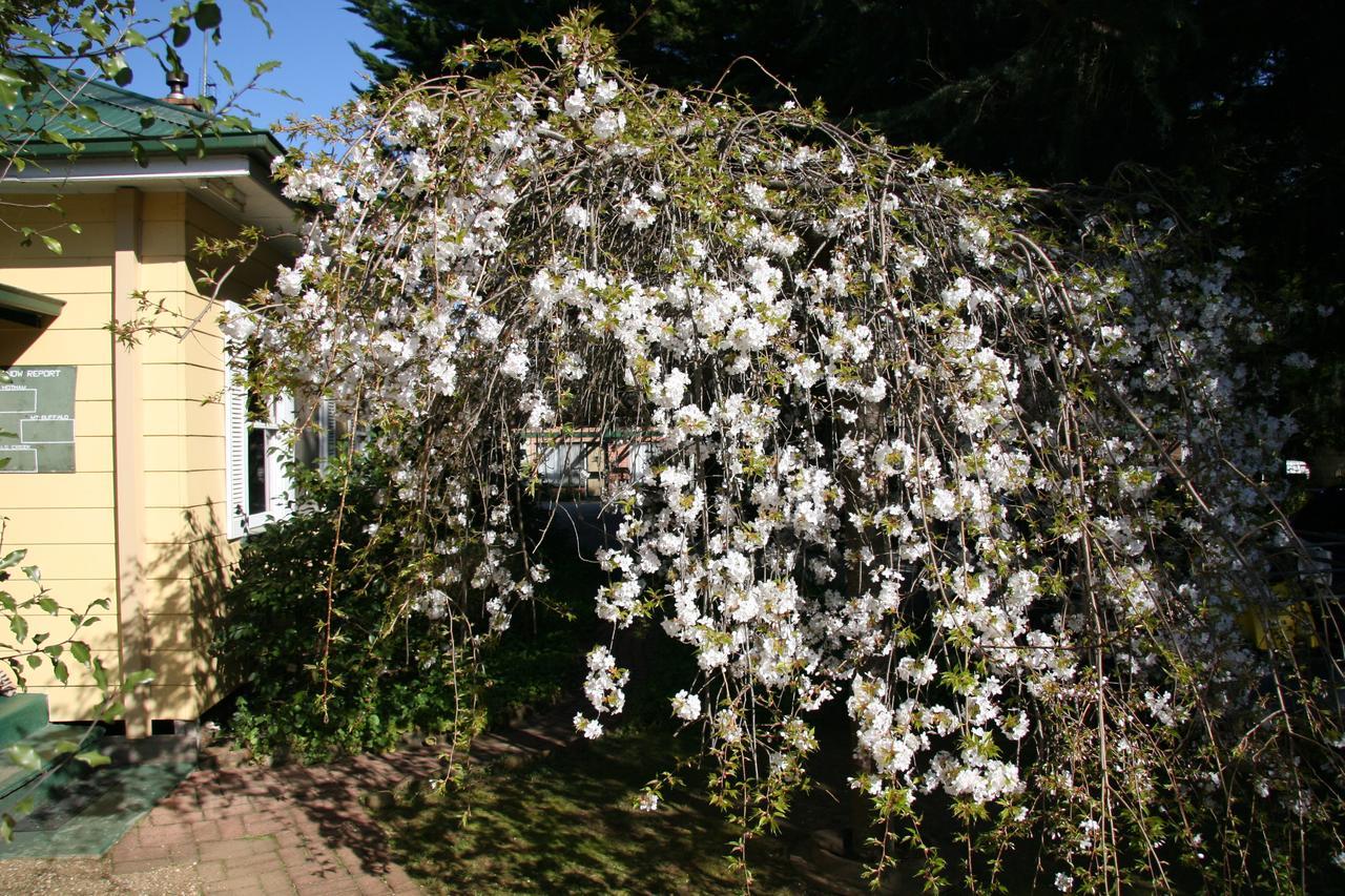 브라이트 Carawatha Gardens 빌라 외부 사진